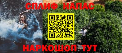 индика Заволжье