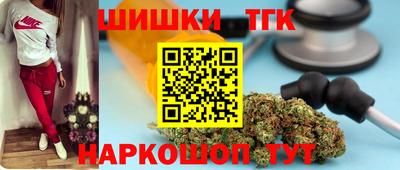 индика Заволжье