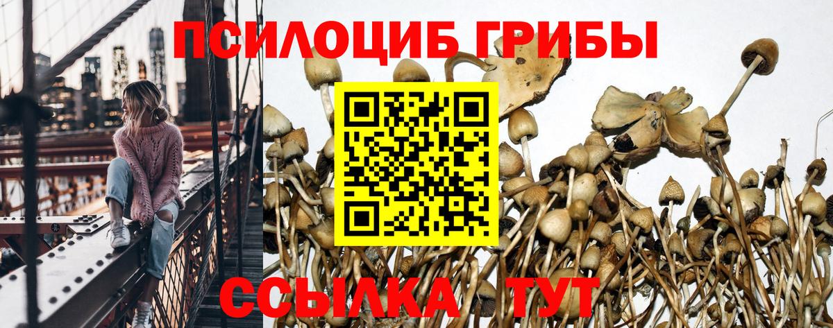 Псилоцибиновые грибы MAGIC MUSHROOMS  Вход с VPN  Псилоцибиновые грибы Psilocybine cubensis  Назарово 